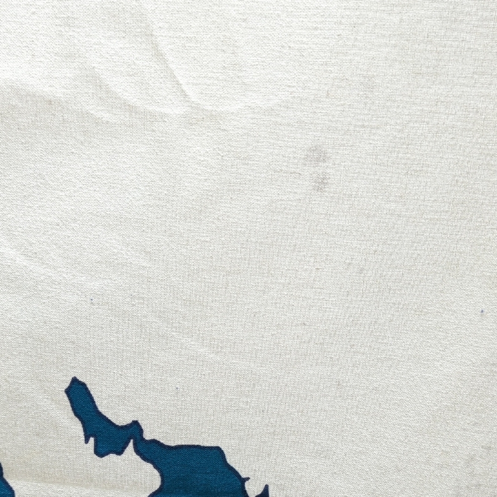 World Map Tapestry/Shower Curtain in Teal and White - Picture 5 of 9